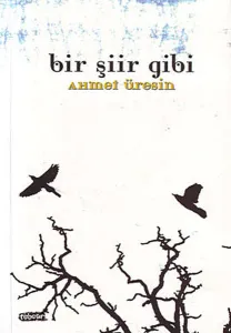 Bir Şiir Gibi