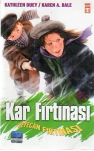 Kar Fırtınası