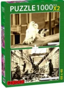 Romantic Pigeons-London Library 2 X 1000 Puzzle