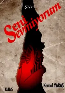 Seni Sevmiyorum Seni Sevmiyorum