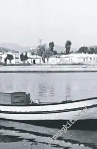 Turgutreis 1974 : Evolution of Families and Houses -         2021