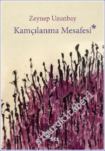 Kamçılanma Mesafesi -         2019