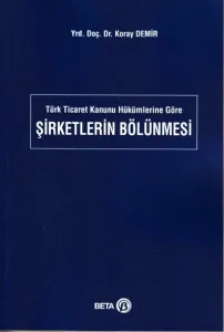 Şirketlerin Bölünmesi