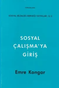 Sosyal Çalışmaya Giriş