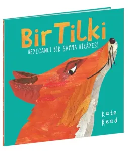 Bir Tilki