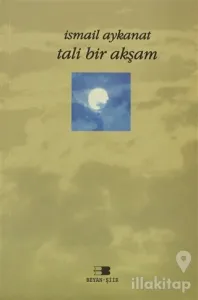 Tali Bir Akşam