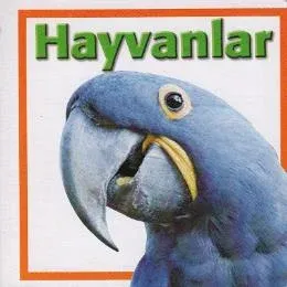 Hayvanlar Hayvanlar