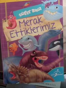 Merak Ettiklerimiz