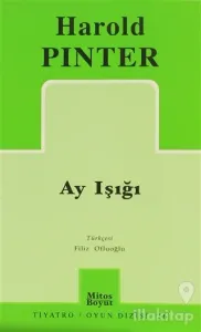 Ay Işığı