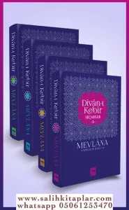 Divanı Kebir - Seçmeler 4 Cilt
