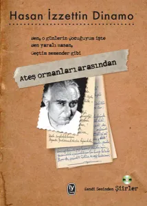 Ateş Ormanları Arasından
