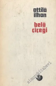 Bela Çiçeği -
