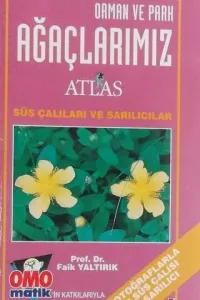 Orman ve park ağaçlarımız