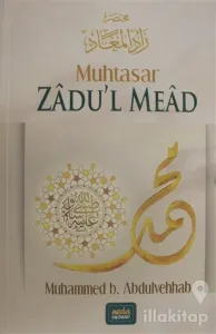 Muhtasar Zadu'l Mead