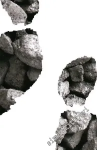 Kişisel Karbon Ayak İzi Rehberi -         2019