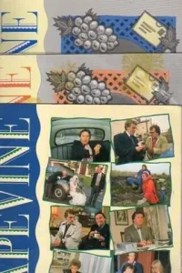 Grapevine 2 (Student's Book + Workbook 2A-2B+ Activity Book)