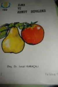 Elma ve Armut Depolama