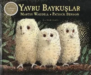 Yavru Baykuşlar Yavru Baykuşlar