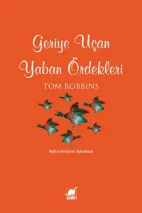 Geriye Uçan Yaban Ördekleri