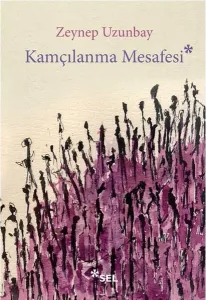 Kamçılanma Mesafesi