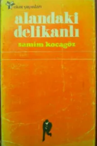 Alandaki Delikanlı