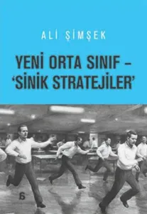 Yeni Orta Sinif Sinik Stratejiler