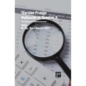 Teoriden Pratiğe Muhasebe Ve Denetim II