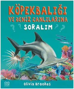 Köpekbalığı ve Deniz Canlılarına Soralım
