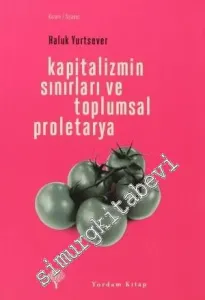Kapitalizmin Sınırları ve Toplumsal Proletarya -         2012