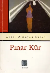 Akışı Olmayan Sular
