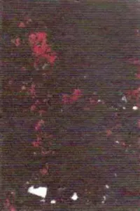 Yeşil Kısrak