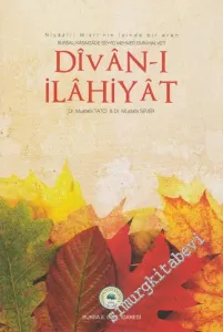 Divan-ı İlahiyat: Niyazi-i Mısri'nin İzinde Bir Eren - Bursalı Kasımzade Seyyid Mehmed Emin Halveti -