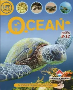 Life Cycles Ocean 8 12 Ages