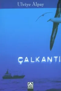 Çalkantı