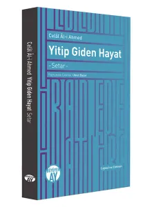 Yitip Giden Hayat