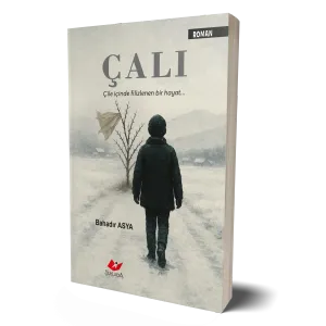 Çalı- 2035