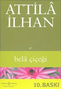 Bela Çiçeği Bela Çiçeği