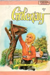 Gülenay 2.Cilt