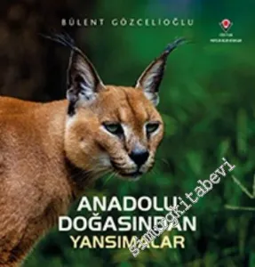 Anadolu Doğasından Yansımalar -         2023