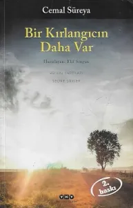 Bir Kırlangıcın Daha Var - Bütün Yapıtları Seçme Şiirler