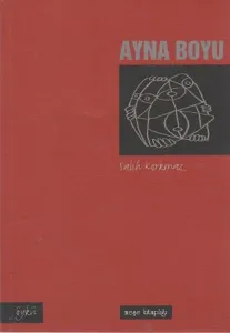 Ayna Boyu