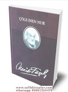 Çöle İnen Nur (Deri Ciltli)