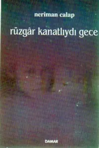 Rüzgar Kanatlıydı Gece