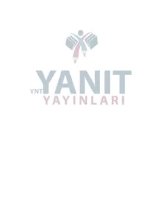 11. SINIF VİP VİTES - 16 SINAV- EŞİT AĞ.-YENİ 2026