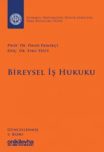 Bireysel İş Hukuku