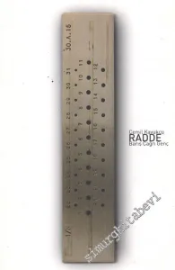 Radde -        2008