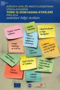 Avrupa Birliği Müktesebatının Uygulanışının Türk İş Dünyasına Etkileri Projesi