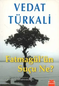Fatmagül'ün Suçu Ne?