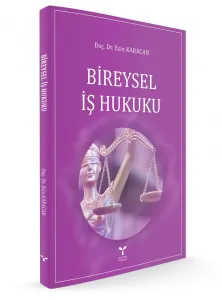BİREYSEL İŞ HUKUKU