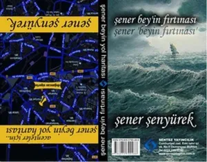 Şener Bey'in Fırtınası - Şener Bey'in Yol Haritası